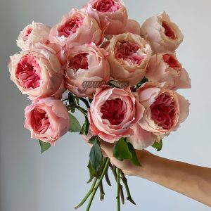 Princess Sakura Rose丨Your roses