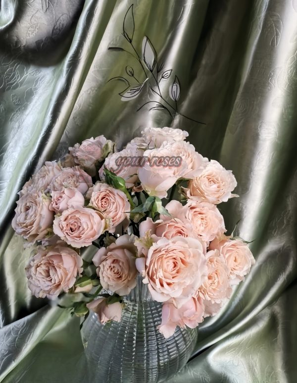 Saraha sensation Rose for sale丨Your roses
