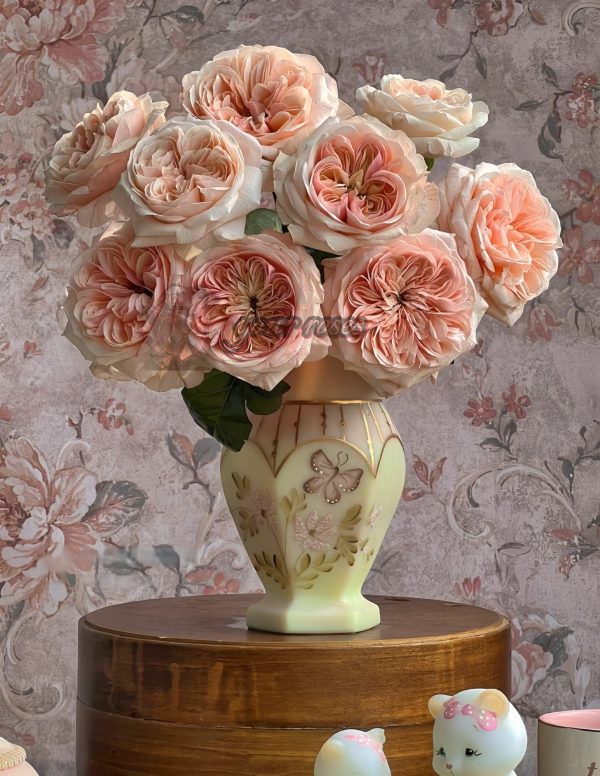 Spring confession Rose丨Your roses