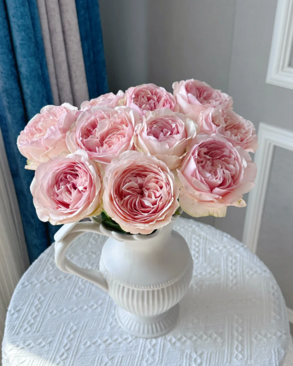 Unforgetable Rose丨Your roses