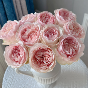 Unforgetable Rose丨Your roses