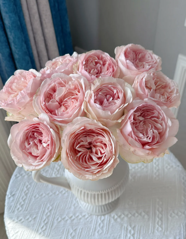 Unforgetable Rose丨Your roses
