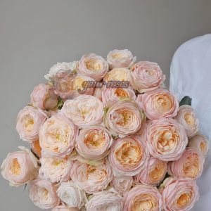 VIP New SPS Rose丨Your roses
