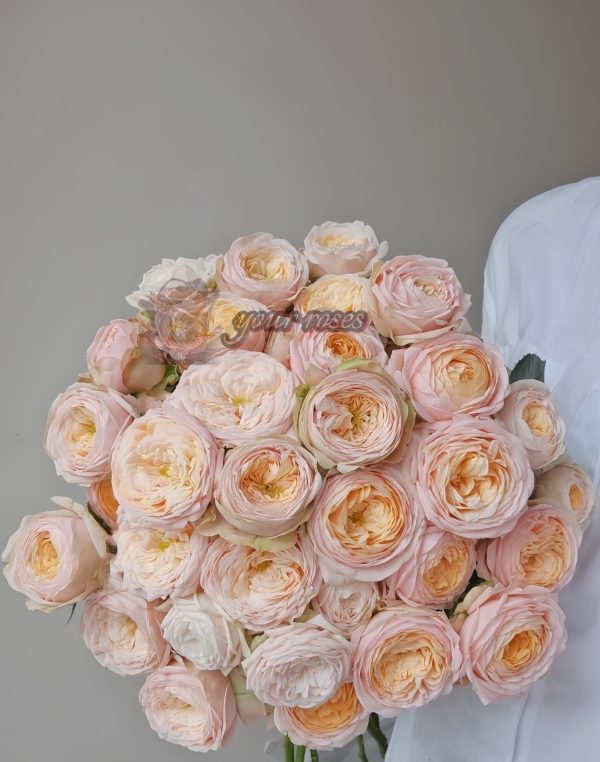 VIP New SPS Rose丨Your roses