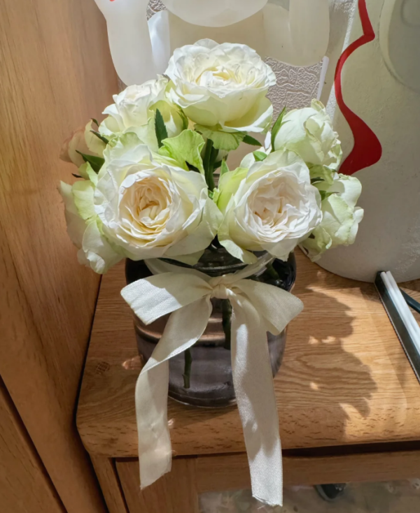 White Jumilia Rose p;ant丨Your roses