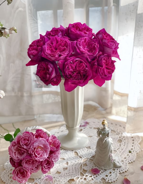 Yuji Rose丨Your roses