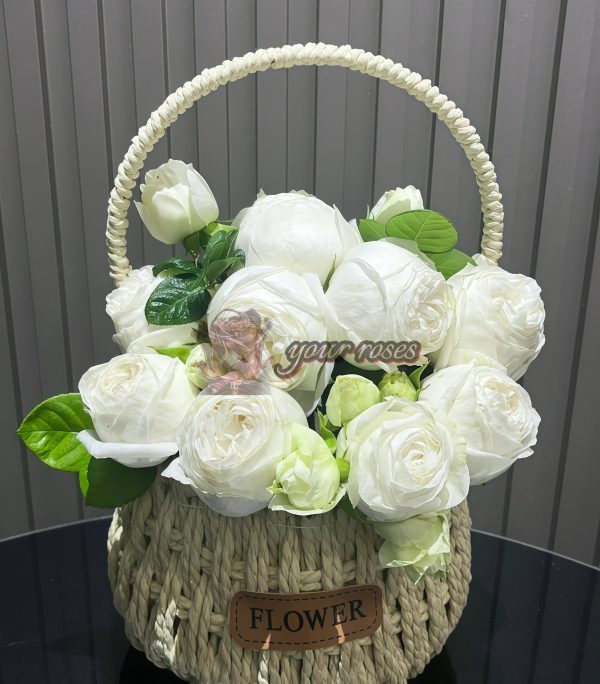 Yves Wedding Road Rose plant丨Your roses