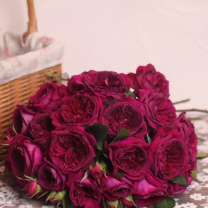 Zirong Rose丨Your roses