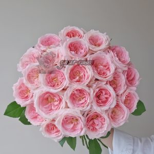 bella linda kiss Rose丨Your roses