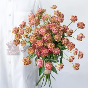 princess pinku Rose 丨Your roses