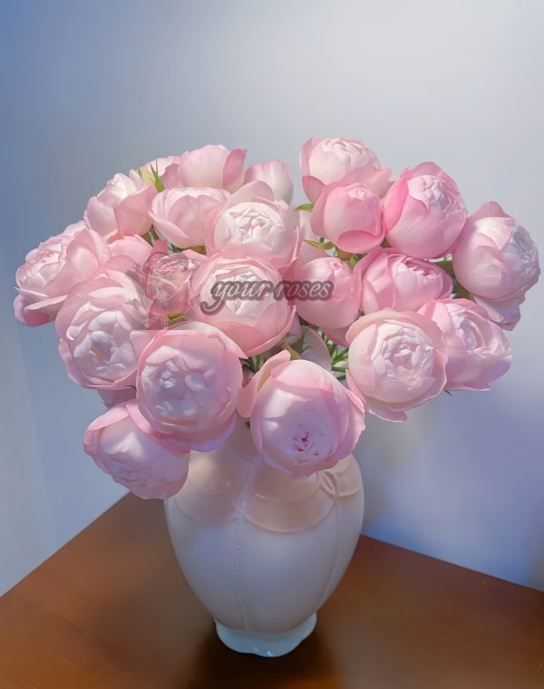 strawberry macaron Rose 丨Your roses