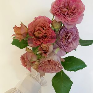the nature Rose丨Your roses