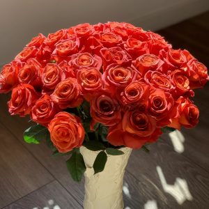 Amaretto Rose plant丨Your roses