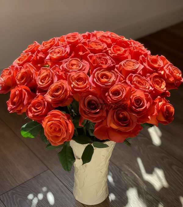 Amaretto Rose plant丨Your roses