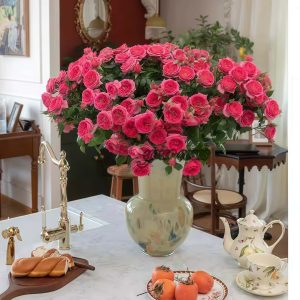 Baby Sophie Rose plant丨Your roses