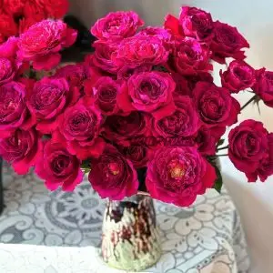 Colline Rouge Rose丨Your roses