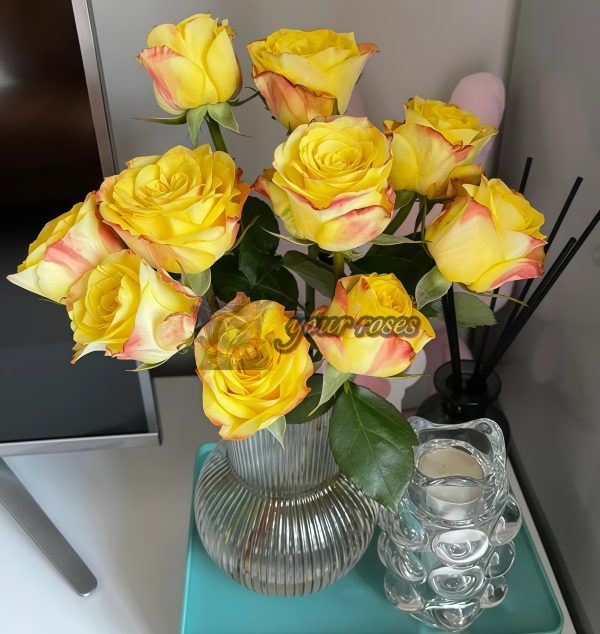 Drunken Delight Rose for sale丨Your roses
