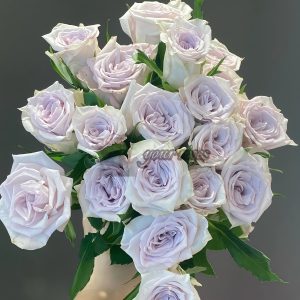 Early Grey Rose丨Your roses