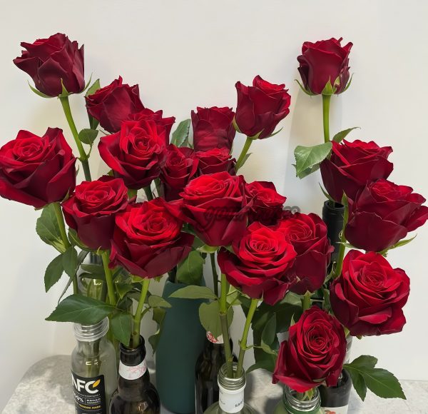 Explorer Rose丨Your roses