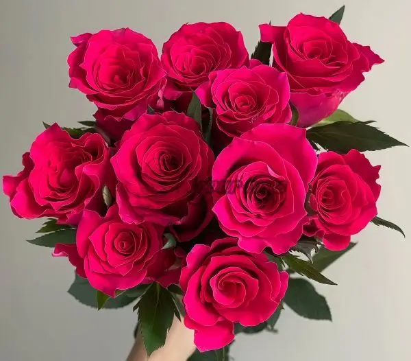 Gotcha Rose丨Your roses