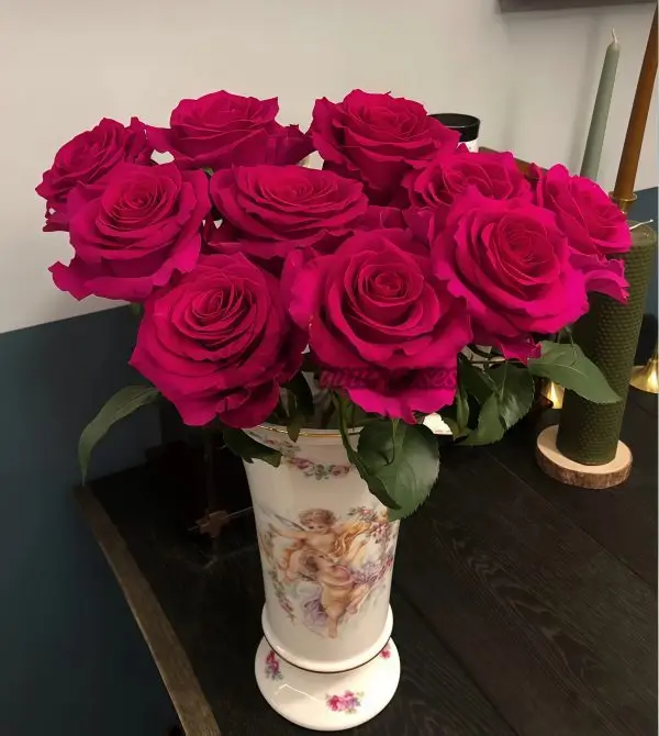 Gotcha Rose for sale丨Your roses