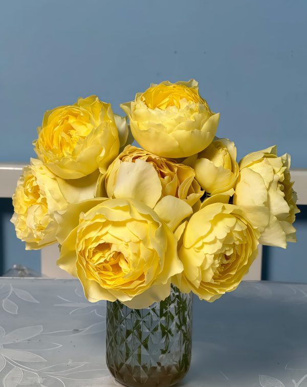 Hiyoko Rose丨Your roses