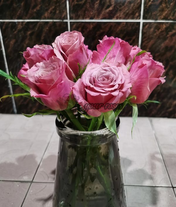Magic Silver Rose plant丨Your roses