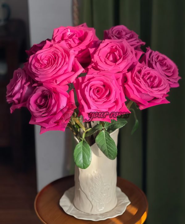 Pink Floyd Rose plant丨Your roses