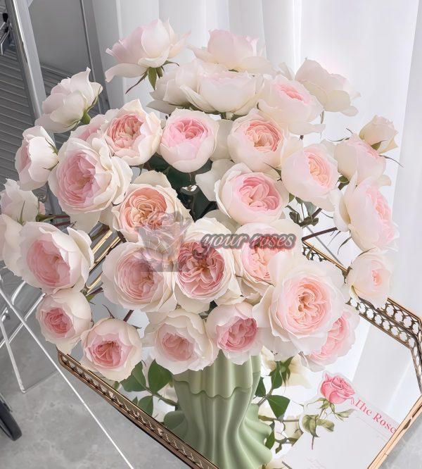 Pretty Yuto Rose丨Your roses