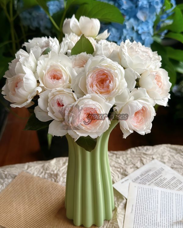 Pretty Yuto Rose丨Your roses