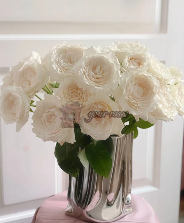 Princess Miyuki Rose丨Your roses