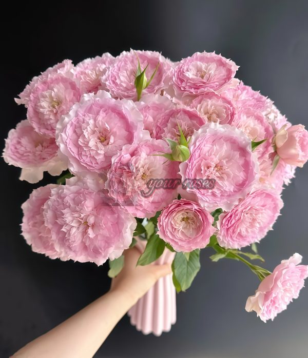 Rongrongyue Rose for sale丨Your roses