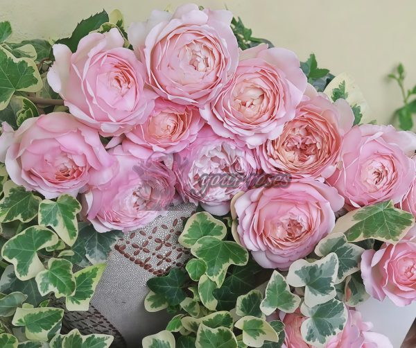 Sucre D'Art Rose丨Your roses