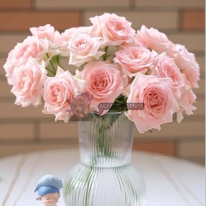 Sweet Sara Rose丨Your roses