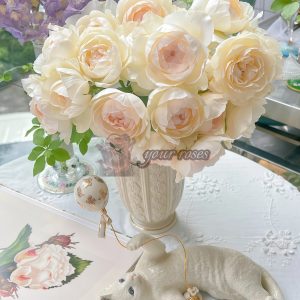 Towa Cup Rose for sale丨Your roses