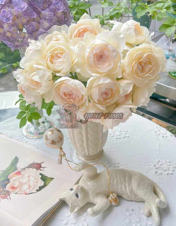 Towa Cup Rose for sale丨Your roses