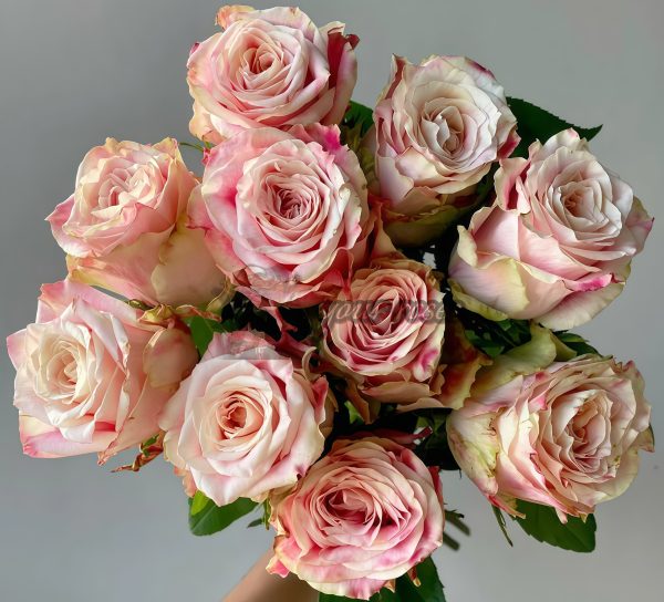 Very Cute Rose丨Your roses
