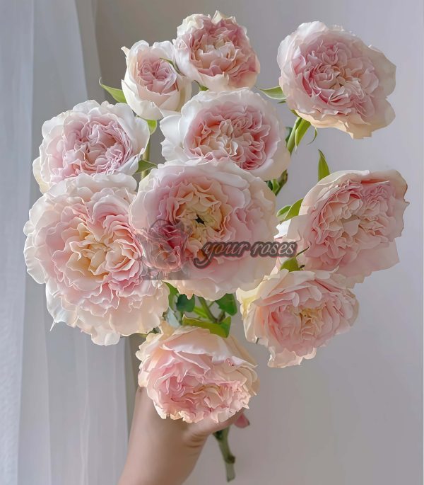 Wedding Rosevert Rose丨Your roses