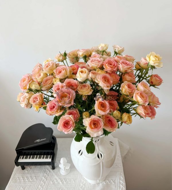 Zanhua Xiao Rose for sale丨Your roses