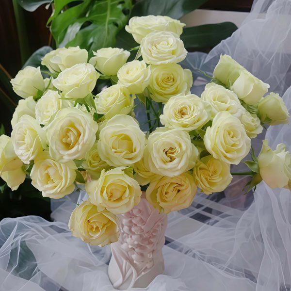 Wedding x-pression Rose丨Your roses