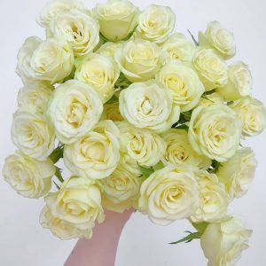 Wedding x-pression Rose丨Your roses