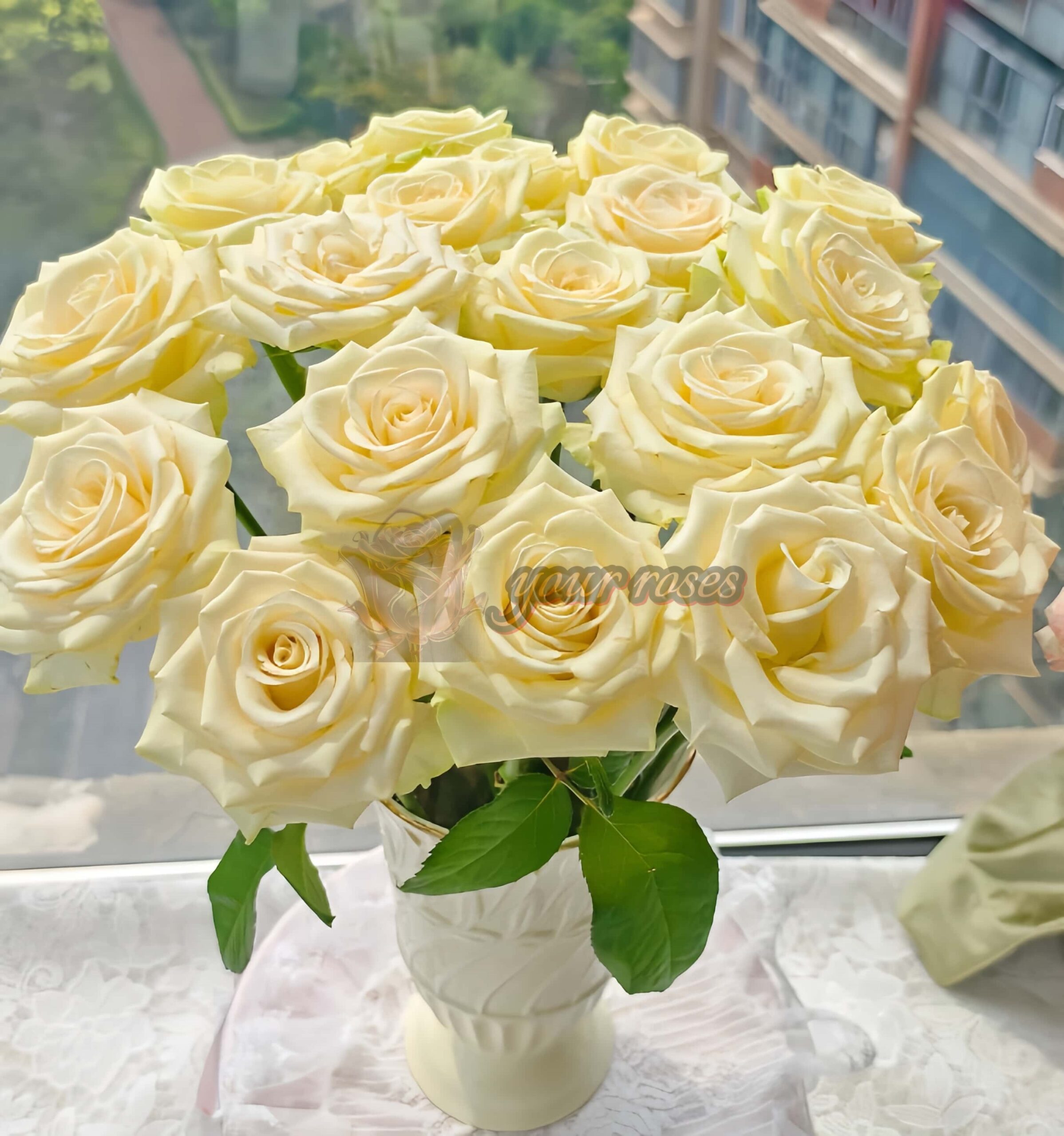 Little Butter Rose plant丨Your roses